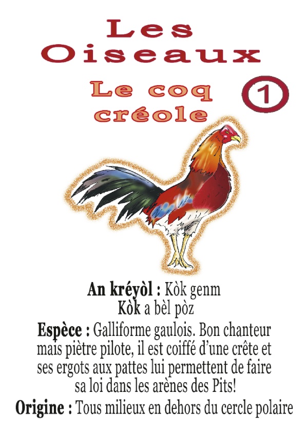 coq-creole_1783699964